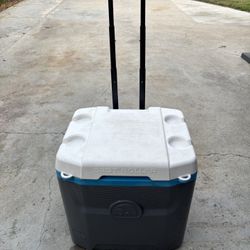 Cooler Igloo Used Perfect Conditions 