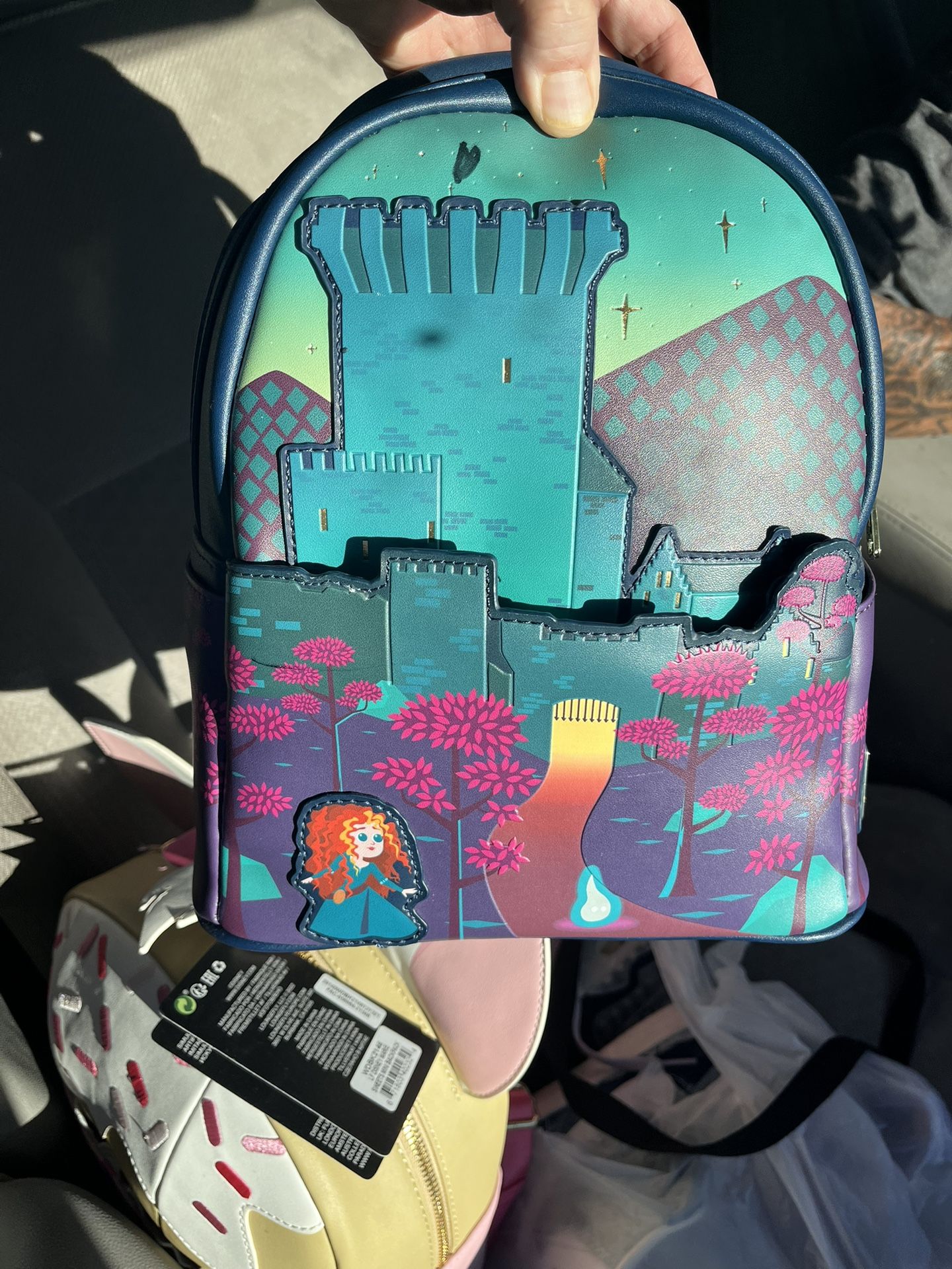 Smaller Back Packs