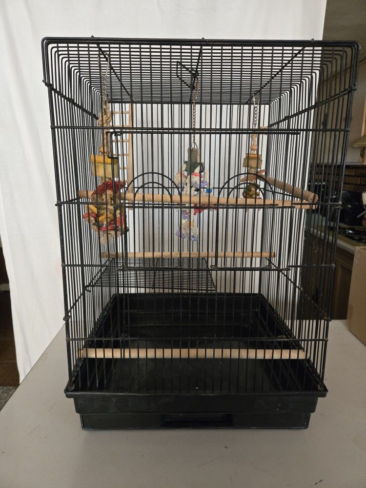 Bird Cage