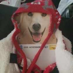 3piece medium dog christmas outfit and 1 piece small dog scarf