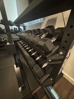 Rogue Dumbbell Set with Rack