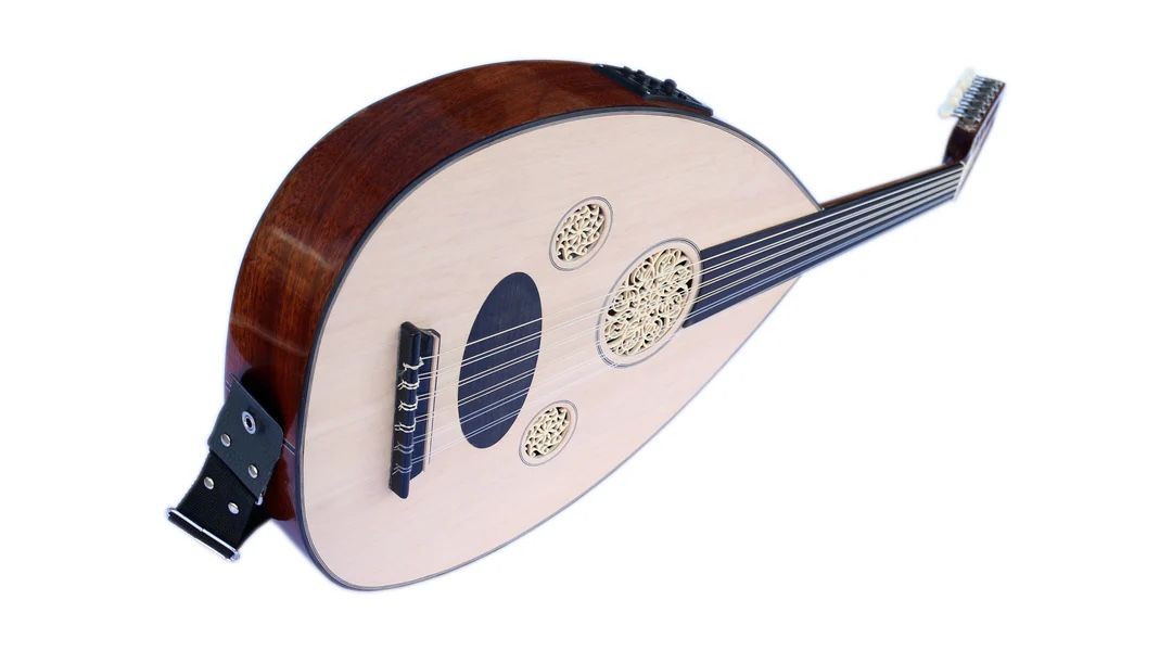 Professional Arabic Electric Oud OUDE EA5