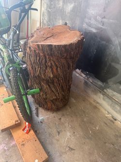 Mesquite stump free