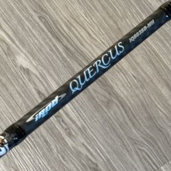 IROD Quercus swimbait rod