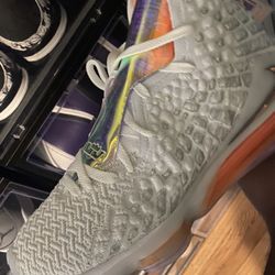 Lebron Size 12 $200