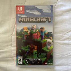 Minecraft Nintendo switch case and chip