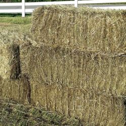 Hay, $7/bale,  3.6.0   9.7.0   1.8.5.6