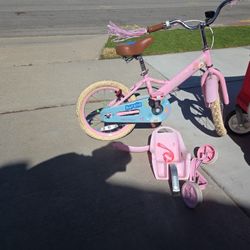 Joy Star Girls Bicycle