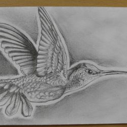 Hand Drawn Custom Art Hummingbird Envelope