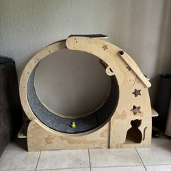 Cat Wheel