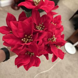 Mainstays Poinsettia Bush