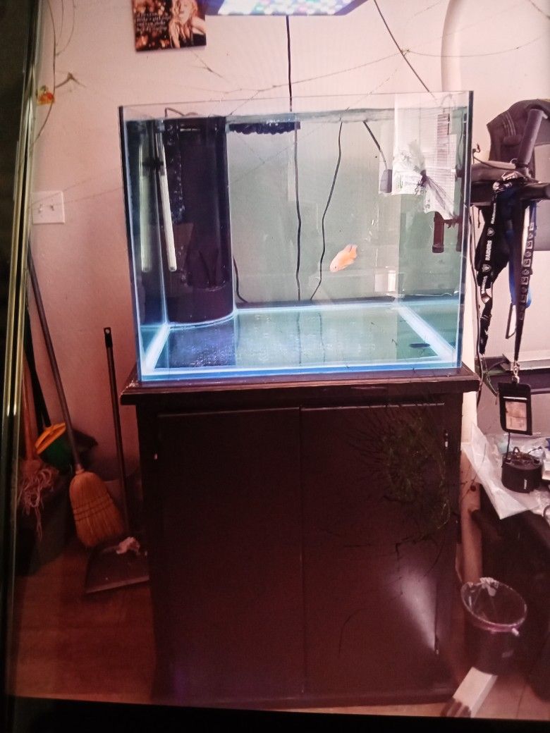 90 Gallon Reef Cube Rimless Fish Tank