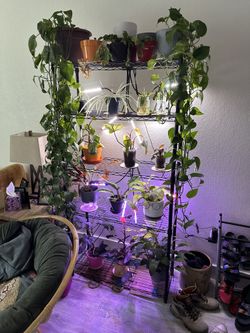 5 Tier Plant Shelf With Grow Lights