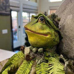 Gorgeous  Decorative Frog 