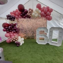 Party Balloon Decorations 