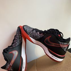 Nike Zoom LeBron NXXT Gen Size 8