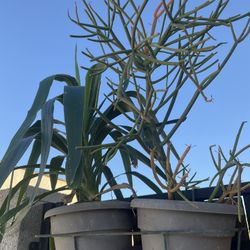 Plants Potted Metal Hanger Tools 