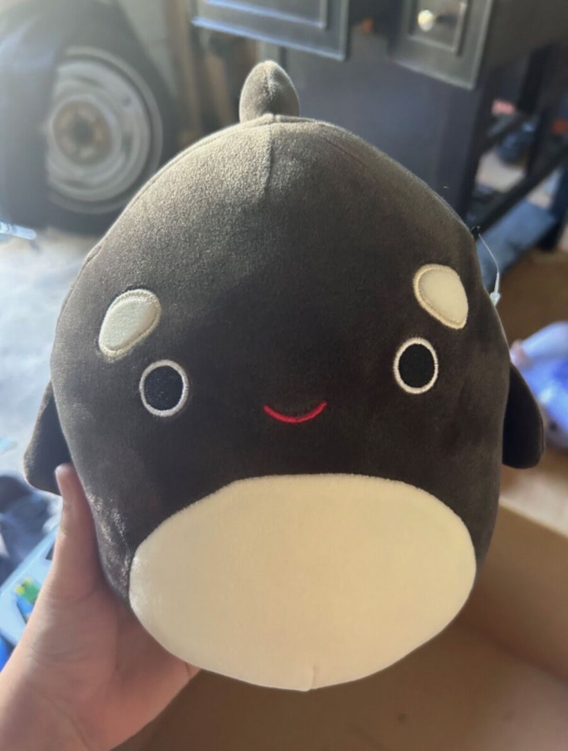 kai the killer whale (orca) squishmallow