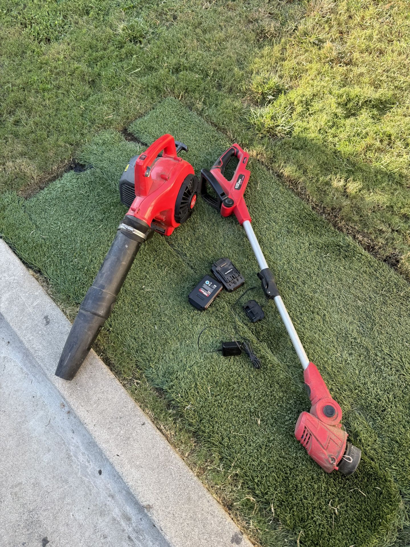 Leaf Blower & Grass Edger
