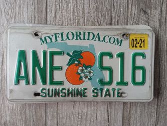 Vintage Florida Tag