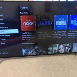 Panasonic 65” HDTV