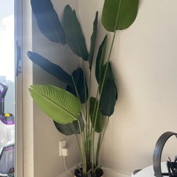 Fake Plant 
