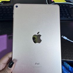 iPad Mini 5th Generation 64GB