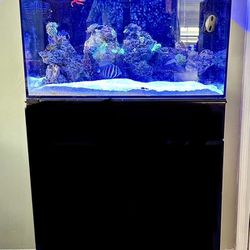  26 Gallon AlO saltwater fish tank