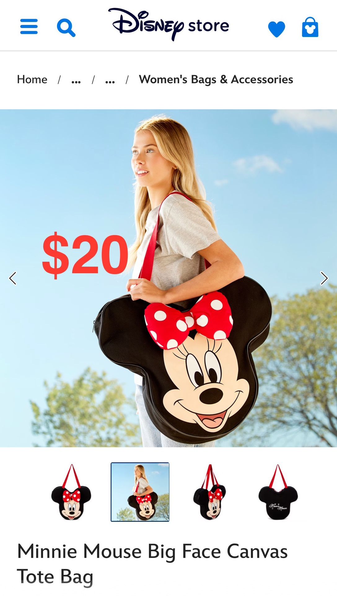 Disney Park Tote Bag