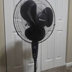 Fan