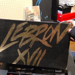 Lebron Nike Airmax Men's 