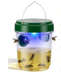 Wasp Trap