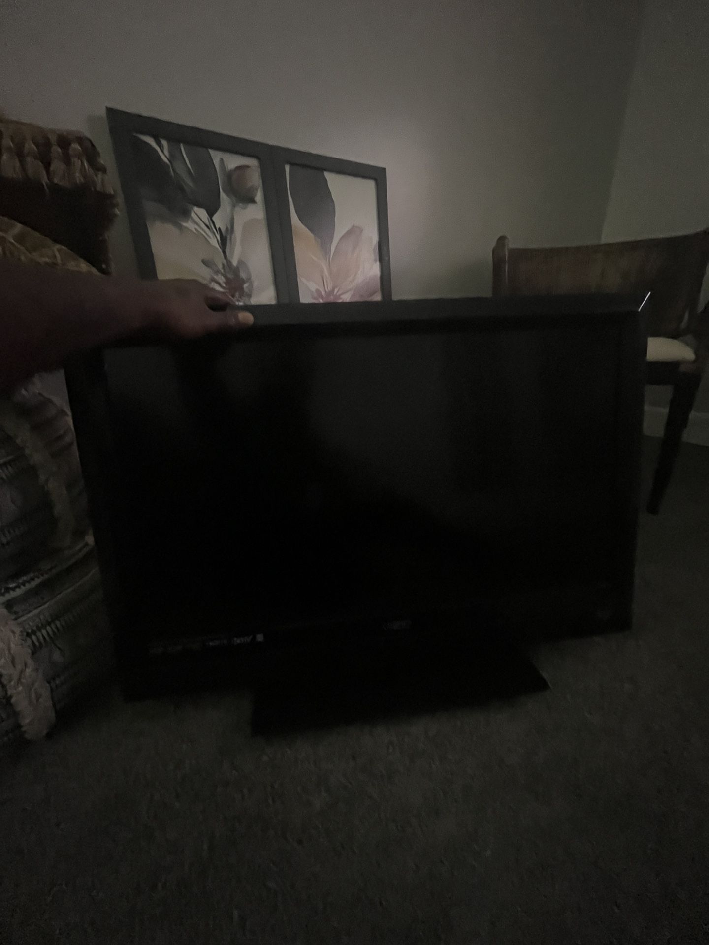 VIZIO TV WITH ROKU REMOTE