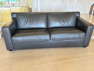 Leather Sofa bed