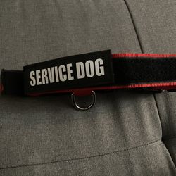 (Service Dog) Dog Collar Size L/XL 