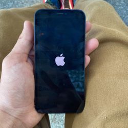 iPhone 12 Mini