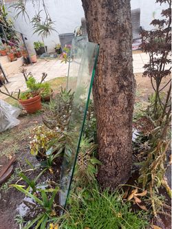 Free glass shelves