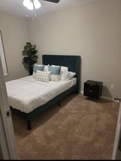 Green velvet platform bed with mattress