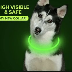 Fluorescent Dog Collar Adjustable 