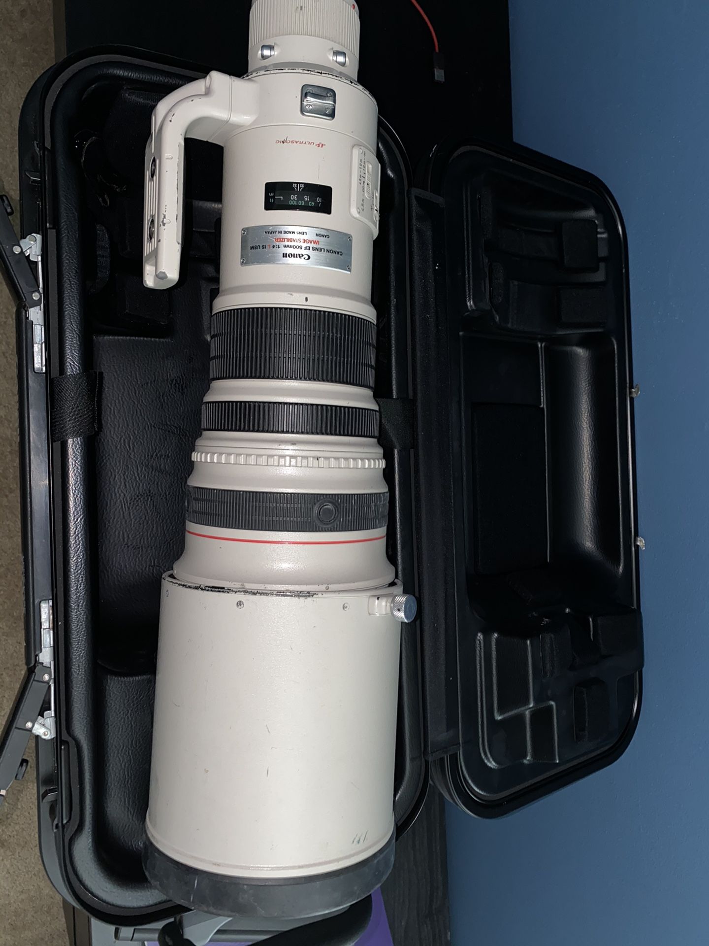 Canon EF 500mm f/4L IS USM Super Telephoto Lens