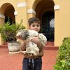 Diego