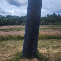 Cow Scratcher Animal 