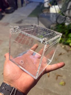 Tarantula Crib Enclosure