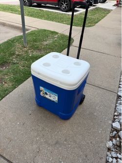 Cooler (60 quarts)