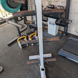3 Tier Upright Weight Tree