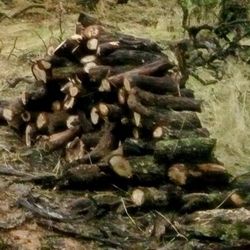 U Wood Portz Wood!!. Fire Wood  4 Sale
