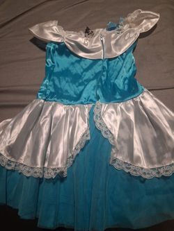 Cinderella costume adult size