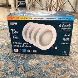 Light Bulb Soft White