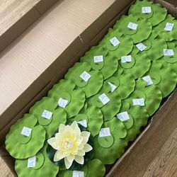 Water Lilly Decoration 