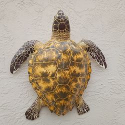 Fiberglass Replica Sea Turtle Mount 